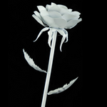 Stahlrose einfarbig weiß
