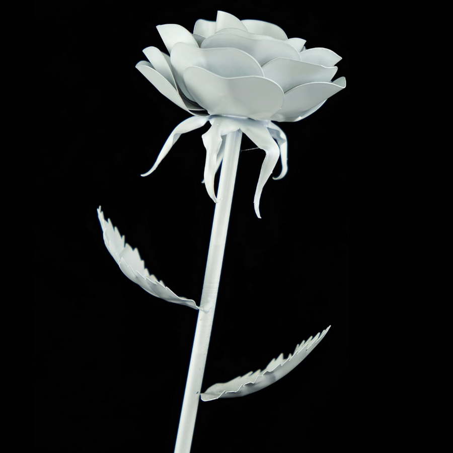 Stahlrose einfarbig weiß